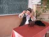 IMG_1062.jpg